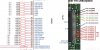 Screen Shot 2019-07-18 at 12.45.22 AM.jpg
