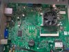 DELL 3646 saffron 14003-1.jpg
