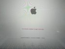 137313762_3472396166221365_5905309230874755758_n.jpg