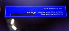 214205533_523761262201841_6705481629089787002_n.jpg