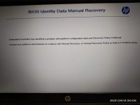 23d75393-9151-4a5a-af21-2d5a00578df1.jpg