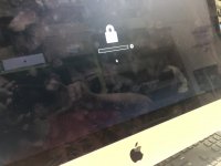 IMG_0380.jpeg