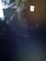 IMG_20220822_104344.jpg