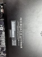 IMG_2118.jpeg