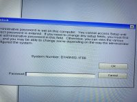IMG_0194.jpeg