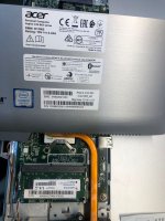 acer.jpg