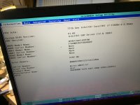 acer 2.jpg