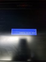 acer.jpg