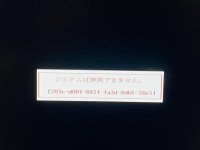IMG_1206.jpeg
