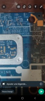 Lar-1 18834-1M.jpg
