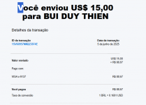 Captura de tela 2025-06-06 110551.png