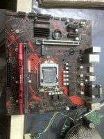 IMG_1995.jpeg