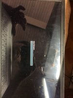 z6764108174768_194ba407bc26df00789b3cd4b050883a.jpg