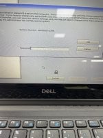 IMG_4024.jpeg