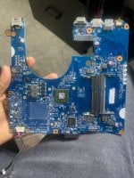 acer 2.jpg