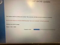 IMG_7925.jpeg