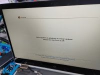 IMG_20251030_195405.jpg IMG_20251030_195405.jpg