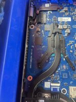 acer.jpeg