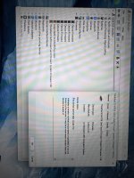 IMG_4085.jpeg