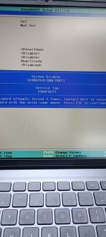 WhatsApp Image 2026-02-20 at 17.29.40.jpeg