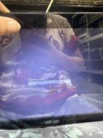 IMG_7115.jpeg
