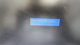 pic.jpeg