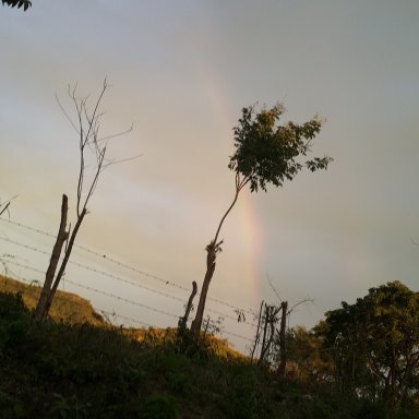 Pc Chips Motherboard Pc 5g V 1 0 Bios Vinafix Com