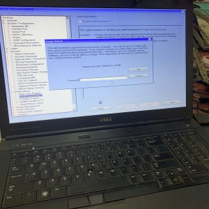 m6600000.jpg
