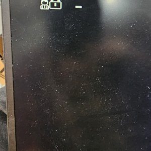 1000045238.jpg