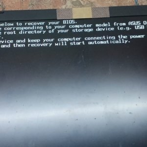 1748156309696.jpg
