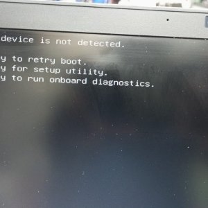 7480.jpg