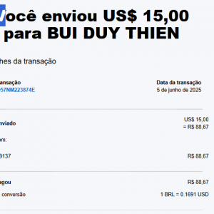 Captura de tela 2025-06-06 110551.png