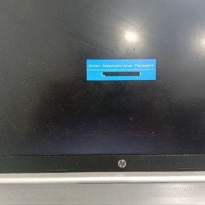 6289657156483532136.jpg