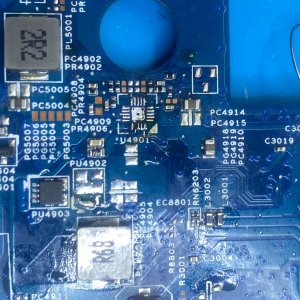 acer 1.jpg