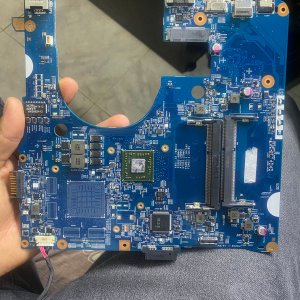 acer 2.jpg