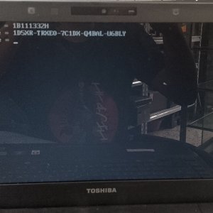 17553154673815371788428441537049.jpg