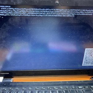 biost toshiba a50.jpg