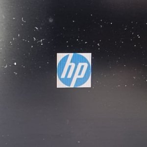 HP LOGO.jpg