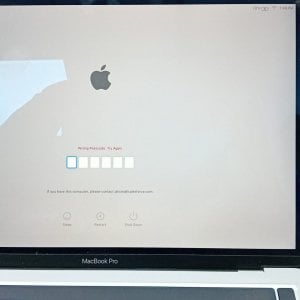 WhatsApp Image 2025-11-17 at 15.21.35.jpeg