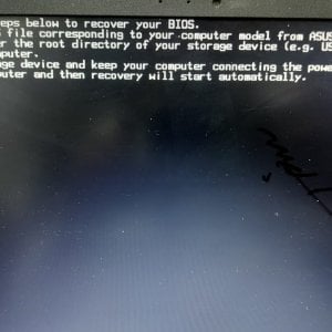 WhatsApp Image 2025-11-23 at 11.38.00 AM.jpeg