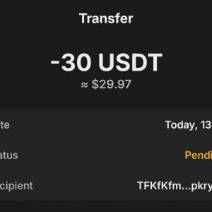 WhatsApp Image 2025-12-28 at 13.20.43.jpeg