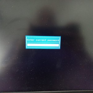 WhatsApp Image 2026-02-06 at 10.27.13 AM.jpeg