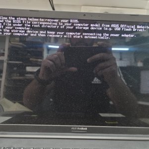 Bios 5.4.jpeg