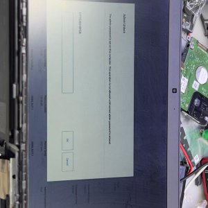 WhatsApp Image 2026-02-17 at 5.00.53 PM.jpeg