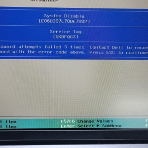 WhatsApp Image 2026-02-20 at 17.29.40.jpeg