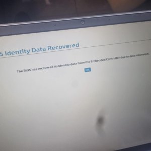 WhatsApp Image 2026-03-03 at 10.52.41 AM.jpeg