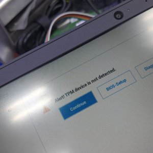 WhatsApp Image 2026-03-26 at 11.41.41 AM.jpeg