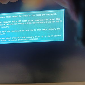 WhatsApp Image 2026-04-05 at 11.13.40 AM.jpeg