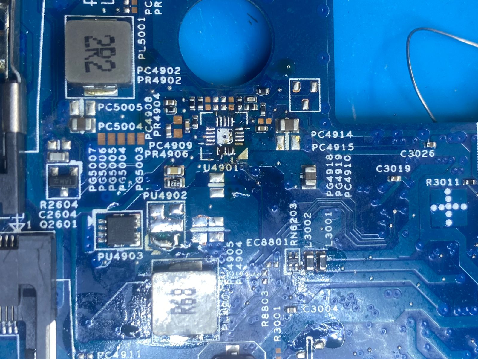 acer 1.jpg