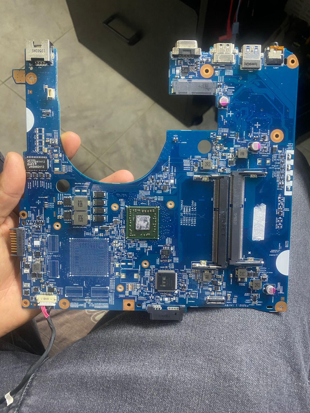 acer 2.jpg